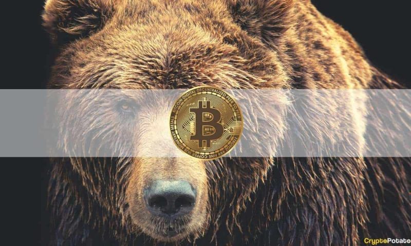 the-bitcoin-bear-market-may-have-already-started,-signal-shows