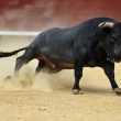 solana-projected-to-reach-$500-this-year-despite-market-meltdown,-expert-predicts