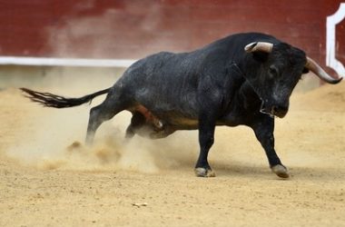 solana-projected-to-reach-$500-this-year-despite-market-meltdown,-expert-predicts