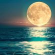 moralis-adds-support-for-moonbeam-network-to-boost-polkadot-development-tools