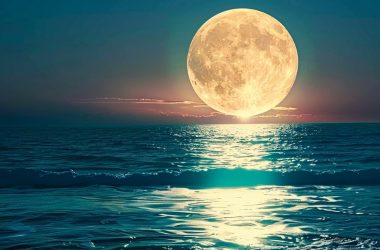 moralis-adds-support-for-moonbeam-network-to-boost-polkadot-development-tools