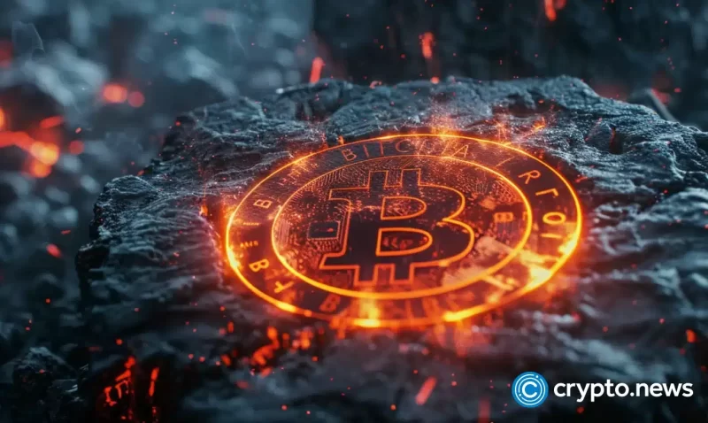 top-cryptocurrencies-to-watch-this-week:-btc,-doge,-wif