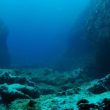 whispers-in-the-deep:-why-are-ethereum-whales-disappearing?