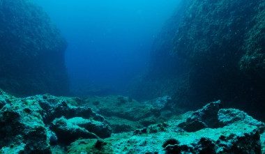 whispers-in-the-deep:-why-are-ethereum-whales-disappearing?