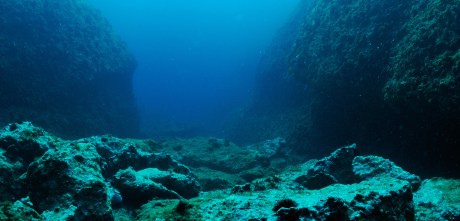 whispers-in-the-deep:-why-are-ethereum-whales-disappearing?