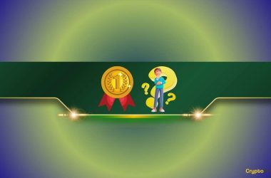top-10-rwa-cryptocurrencies-by-development-activity:-details