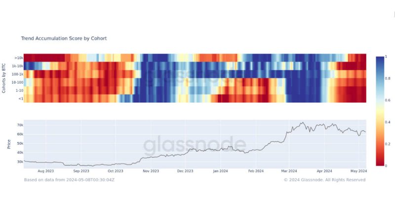 bitcoin-accumulation-fails-to-keep-pace-with-issuance