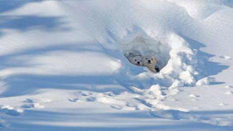 xrp-all-talk,-no-action?-social-media-booms,-but-price-stuck-in-the-bear-pit