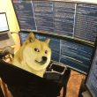 unlocking-the-dogecoin-code:-one-factor-holds-the-key-to-its-next-ascent