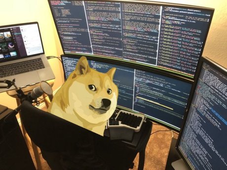 unlocking-the-dogecoin-code:-one-factor-holds-the-key-to-its-next-ascent