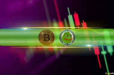 these-meme-coins-explode-daily-as-bitcoin-faces-enhanced-volatility-(market-watch)