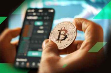 bitcoin-long-term-holders-buy-the-blood,-snatch-up-70,000-btc