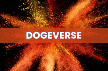 some-traders-think-dogeverse-could-be-the-next-meme-coin-to-explode-as-pepe-&-floki-pump