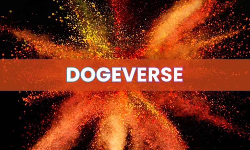 some-traders-think-dogeverse-could-be-the-next-meme-coin-to-explode-as-pepe-&-floki-pump