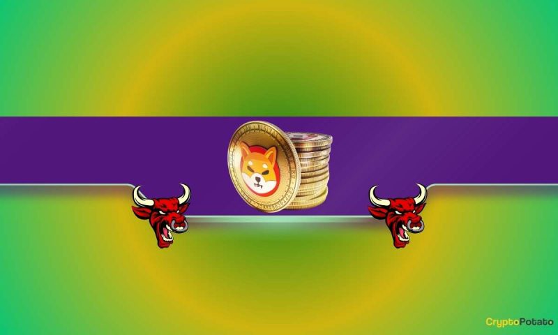 shiba-inu-(shib)-price-prediction:-50%-surge-incoming-but-there’s-a-catch-(analyst)
