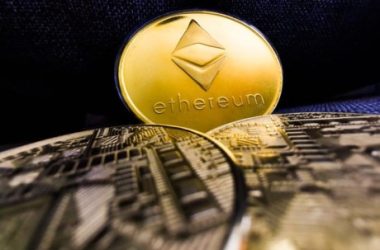 why-altcoins-are-the-best-investment-for-now-–-analyst