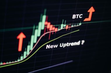 crypto-expert-willy-woo-predicts-bitcoin-has-room-to-run-–-here-are-the-drivers