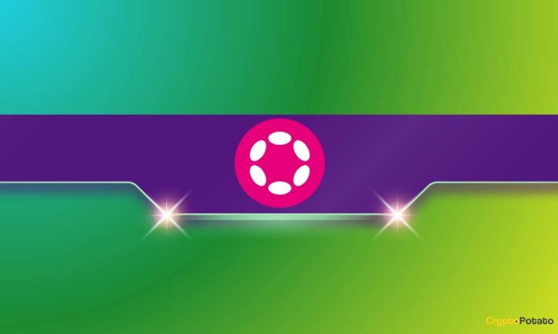 polkadot-(dot)-ecosystem-recap:-the-most-recent-advancements