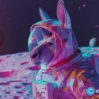 floki-listed-on-binance-thailand-as-kangamoon-eyes-cex-listing