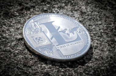 here’s-how-much-ltc-litecoin-whales-have-accumulated-in-the-past-30-days