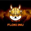 analyst-bullish-on-floki-as-pepe-and-bonk-rally