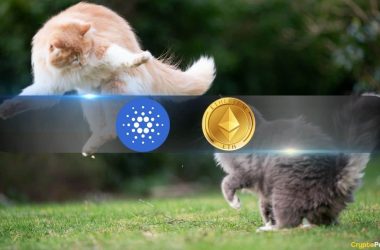 eth-vs.-ada:-is-cardano-or-ethereum-a-better-investment-in-2024?