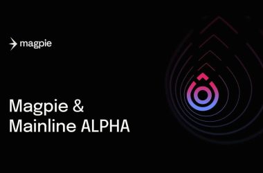 magpie-protocol-api-gets-first-integration-in-mainline-alpha