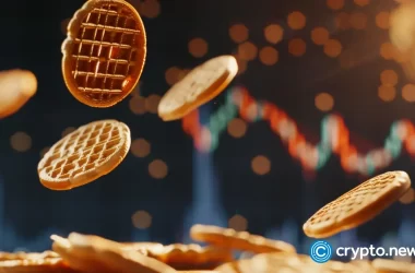 waffles-coin:-price-prediction-and-analysis-for-2024