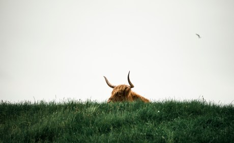 bitcoin-in-‘euphoria-wave’-–-how-long-until-the-bull-run-ends?