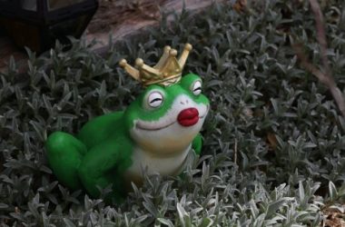 pepe-shows-persistent-bullish-strength-as-market-optimism-grows