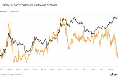 bitcoin-active-addresses-plummet-to-five-year-low