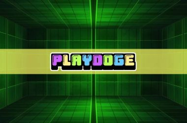 notcoin-up-over-25%-and-surpasses-solana-24-hour-volume-as-new-gaming-token-playdoge-raises-$1.7m