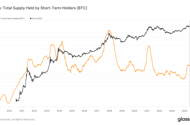 bitcoin-short-term-holders-increased-holdings-by-over-1-million-btc-in-six-months