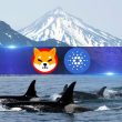 cardano,-shiba-inu,-jasmy-catch-whale-fever-as-large-transactions-spike