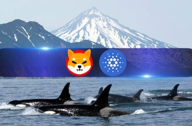 cardano,-shiba-inu,-jasmy-catch-whale-fever-as-large-transactions-spike