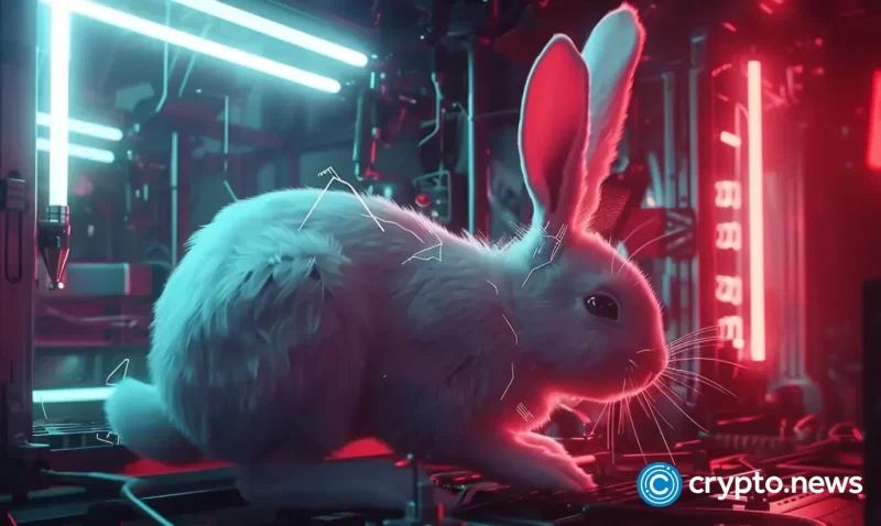 june-emerges-as-a-wild-month-for-memecoins-pepe,-doge-and-raboo