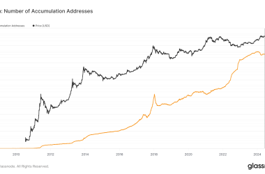bitcoin-accumulation-addresses-surge-as-market-optimism-returns
