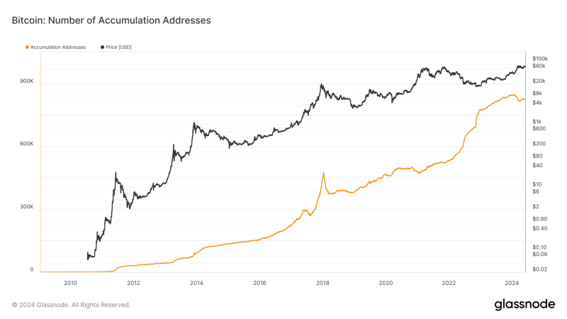 bitcoin-accumulation-addresses-surge-as-market-optimism-returns