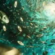 tornado-cash-tvl,-token-price-surge-despite-market-downturn