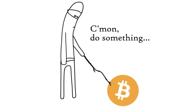 bitcoin-flat-despite-high-etf-inflows-as-hedge-funds-short-btc-at-record-levels