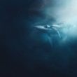 whale-deposits-$21-million-in-defi-tokens-to-binance,-was-it-justin-sun?