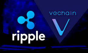 analyst-singles-out-vechain-and-xrp-for-parabolic-surge,-here-are-the-targets