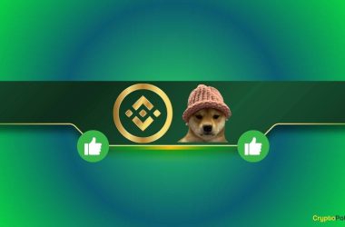 this-popular-meme-coin-receives-further-support-from-binance:-details