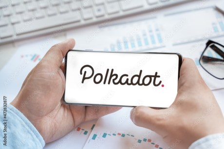 polkadot-(dot)-in-freefall:-will-it-recover-or-hit-rock-bottom?
