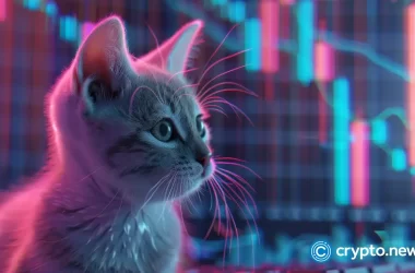 cat-in-a-dogs-world-(mew)-soars,-but-gains-could-be-brief
