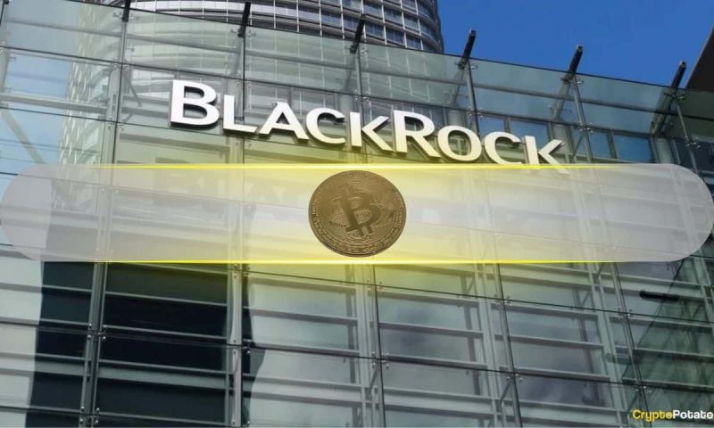 financial-advisors-wary-of-investing-in-spot-bitcoin-etfs,-blackrock-exec-says