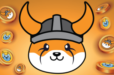end-of-the-road-for-floki?-analyst-predicts-80%-crash-for-the-shiba-inu-competitor