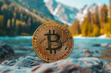 idaho-republicans-oppose-central-bank-digital-currency,-advocate-for-bitcoin