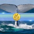 largest-dogecoin-(doge)-whales-cut-positions-as-retail-investors-gain-ground