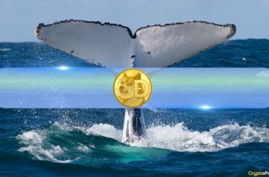largest-dogecoin-(doge)-whales-cut-positions-as-retail-investors-gain-ground